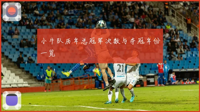 小牛队历年总冠军次数与夺冠年份一览