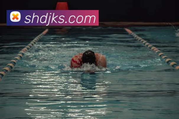 博奥体育官方网站平台生态图