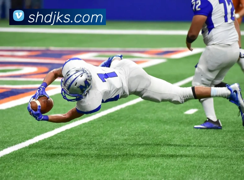 博奥体育官方网站APP 封面图